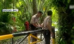 巴厘岛情侣死亡爆料视频,揭秘背后惊人真相